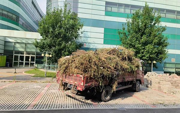 消纳垃圾15
